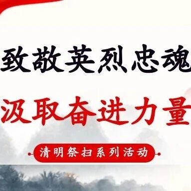 “致敬英烈忠魂，汲取奋进力量” —— 象屿铝业清明祭扫活动